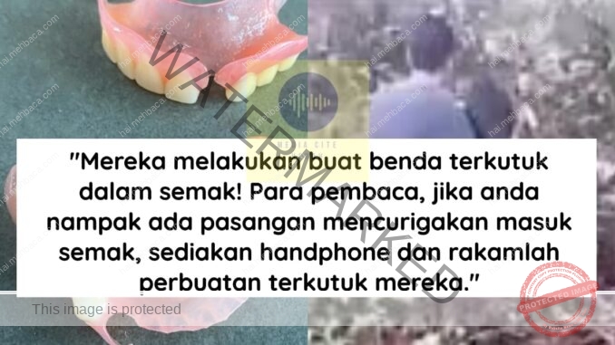 news.mehbaca.com-gigipalsu